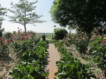 R&B Podere Angela Bed & Breakfast 2*